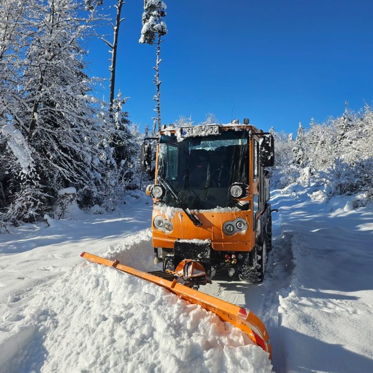 Hausmeister Zentrale Winterdienst