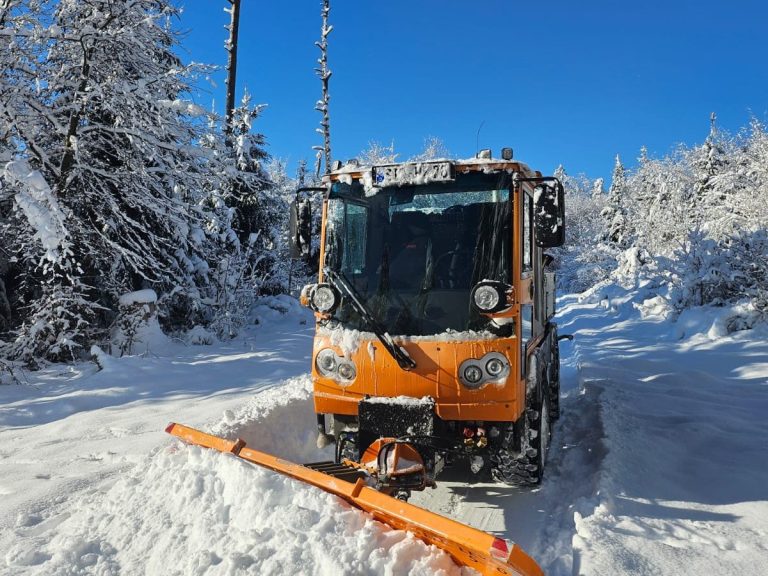 Hausmeister Zentrale Winterdienst