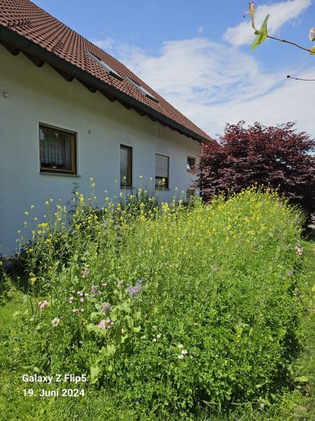 Hausmeister Zentrale Gartenarbeit