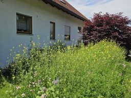 Hausmeister Zentrale Sigmaringen